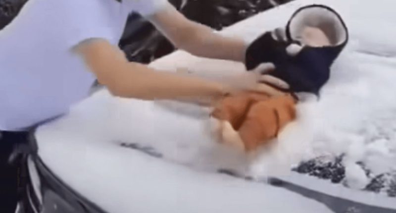Cops to arrest man who used baby to wipe snow off car