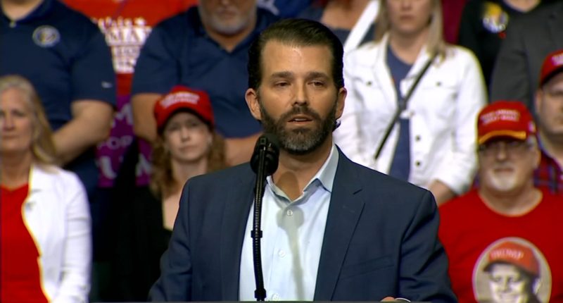 Could the US buy Greenland? Donald Trump Jr. to visit Greenland as president-elect muses anew about the US taking control of it