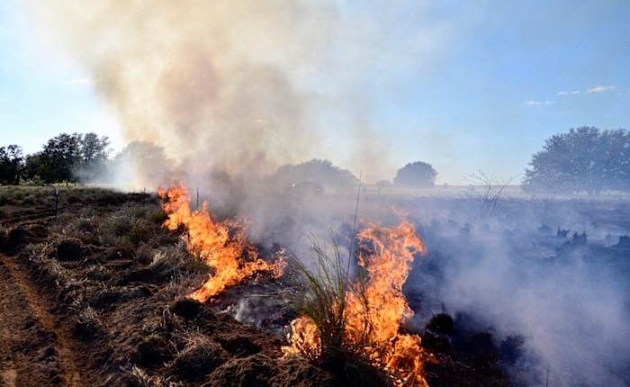 Crews battling brush fire near Lake, Orange County line