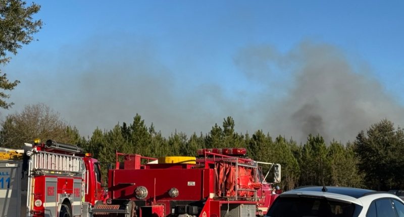 Crews respond to Long County brush fire