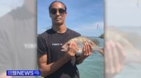 Dad, son killed at one-year-old's birthday party identified