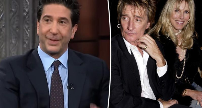 David Schwimmer reveals he once ‘served’ Rod Stewart divorce papers: ‘I don’t think he knows’