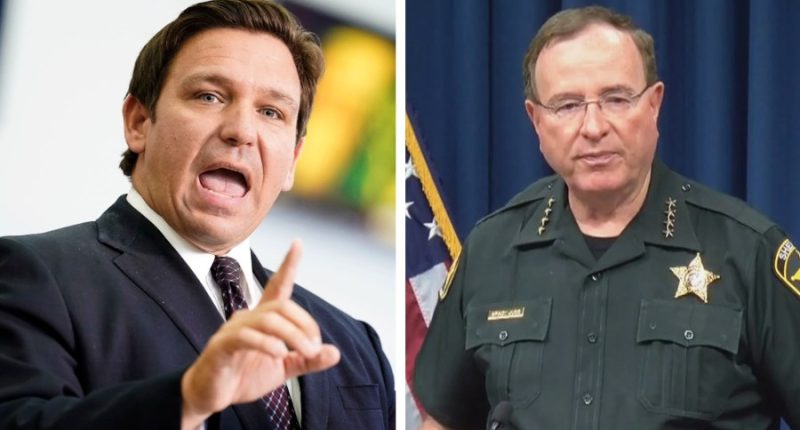 DeSantis hopes Trump will kickstart crackdown on illegal immigration