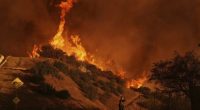 Death toll rises to 24 as crews try to corral LA blazes before winds return