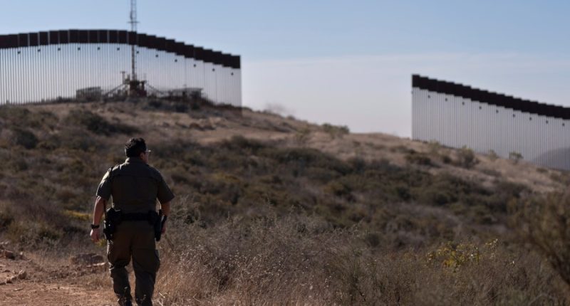 Democrats splintered on immigration and how to respond to Trump