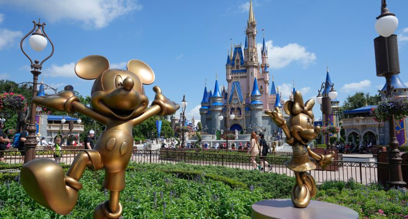 Disney travel tips: Expert shares park advice for National Plan for a Vacation Day