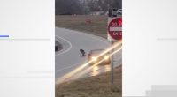Driver in Kansas City viral video explains why she jumped out of car