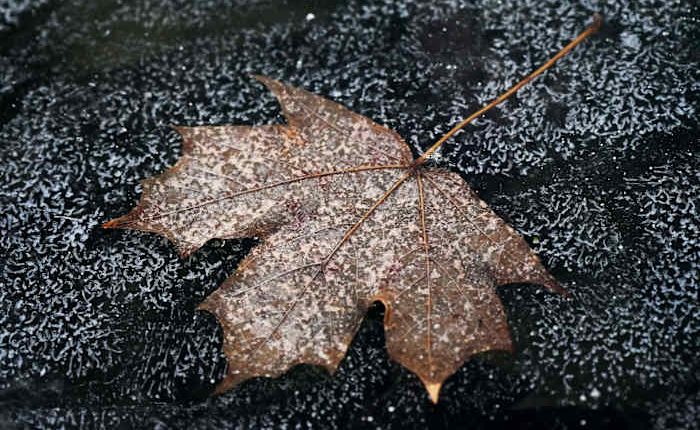 Drivers skid and crash as wintery mix grips central US then moves east