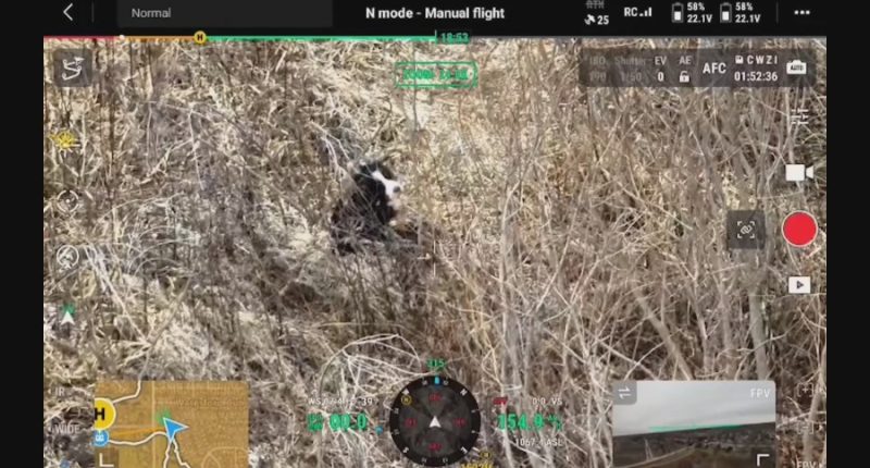 Drone helps find Charlie the dog after he was missing for nearly a week