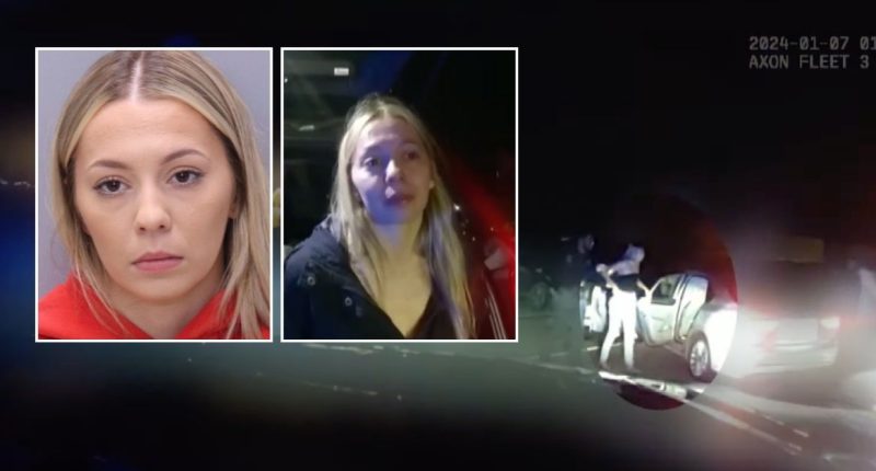 Drunk driver sentenced for mowing down women on sidewalk