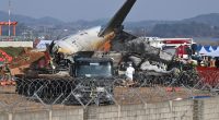 Duck DNA found in both engines of Jeju Air plane that crashed, report says