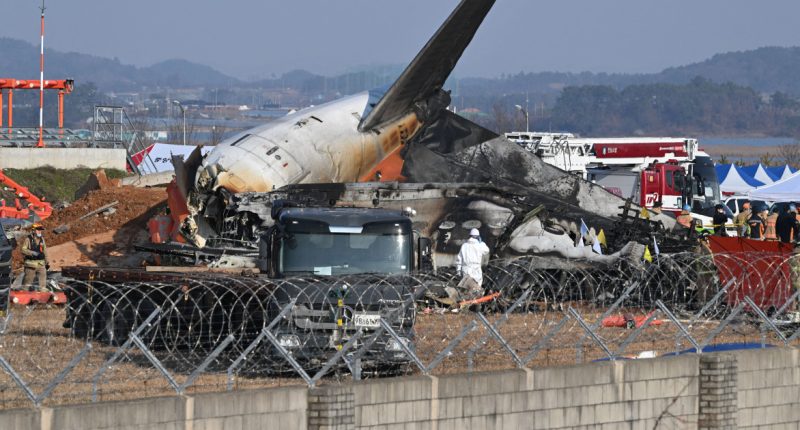 Duck DNA found in both engines of Jeju Air plane that crashed, report says