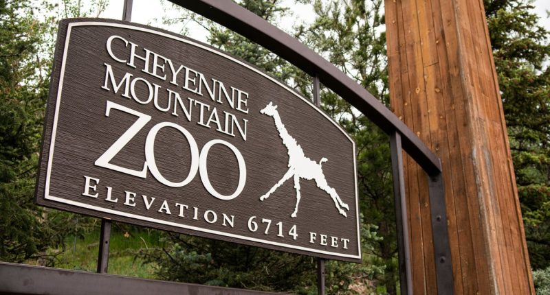 Elephants can’t pursue their release from a Colorado zoo because they’re not human, court says