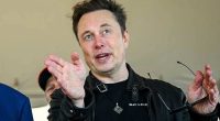 Donald Trump and Elon Musk.