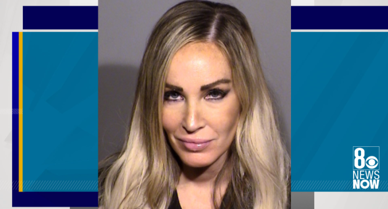 Ex-girlfriend of brother accused in gold-digging plot says she can’t afford attorney