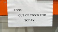 Expect record-high egg prices for most of the year. Here's why