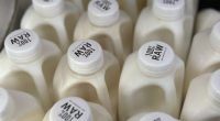 FDA testing aged raw cow's milk cheese for bird flu