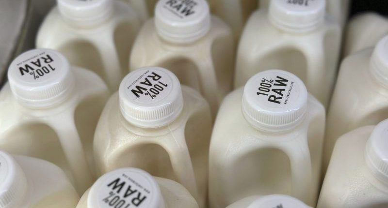 FDA testing aged raw cow's milk cheese for bird flu