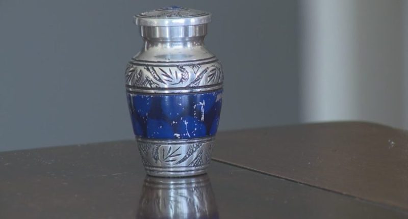 Family searching for owner of missing urn after finding it in an Uber