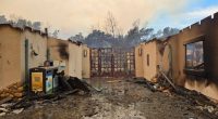 Fires burn Los Angeles schools and destroy outdoor education sanctuaries