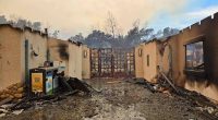 Fires burn Los Angeles schools and destroy outdoor education sanctuaries