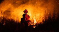 First residents allowed back to communities ravaged by LA fires
