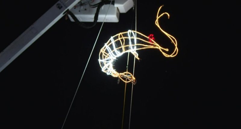 Florida county rings in 2025 with New Year's Eve Shrimp Drop