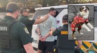 Florida man violently slammed puppy on concrete, police say