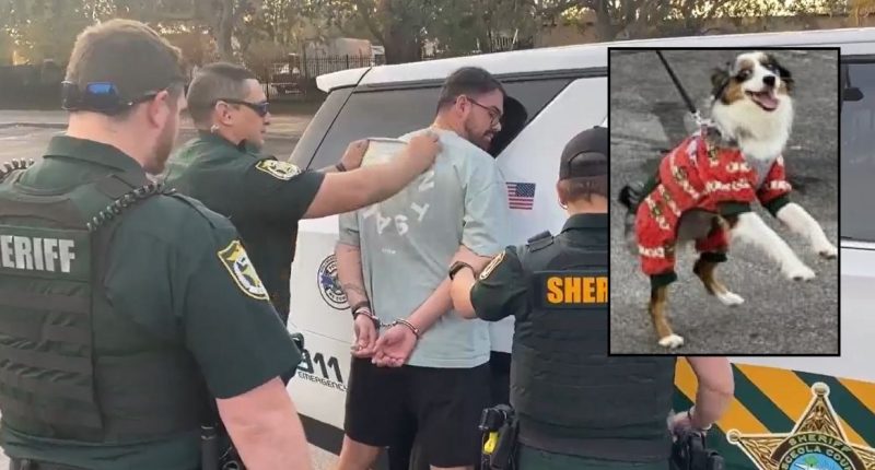 Florida man violently slammed puppy on concrete, police say