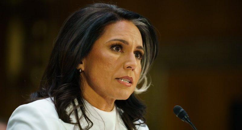Gabbard battles senators over Snowden, Syria in fiery hearing: 5 takeaways