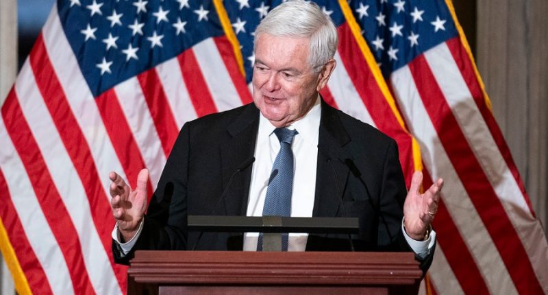 Gingrich aims to 'reset the conversation' around immigration with new PBS documentary, 'Journey to America'