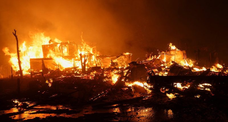 Heartbroken Hollywood actor whose house burnt down in the Palisades fire compares devastation to 'losing a loved one' and reveals he has no insurance policy for charred property
