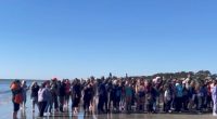 Hilton Head Island holds 2025 'Polar Plunge'