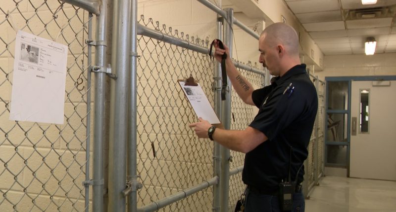 How to protect yourself in the case you encounter a not-so-friendly animal