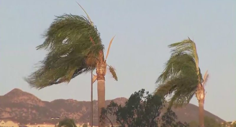 How to stay safe during Southern California’s latest Santa Ana wind event