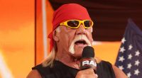Hulk Hogan pulls out of WWE show just weeks after getting booed by fans