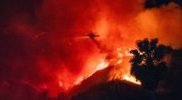 Hurricane Katrina victim forced to evacuate again, this time for LA wildfires