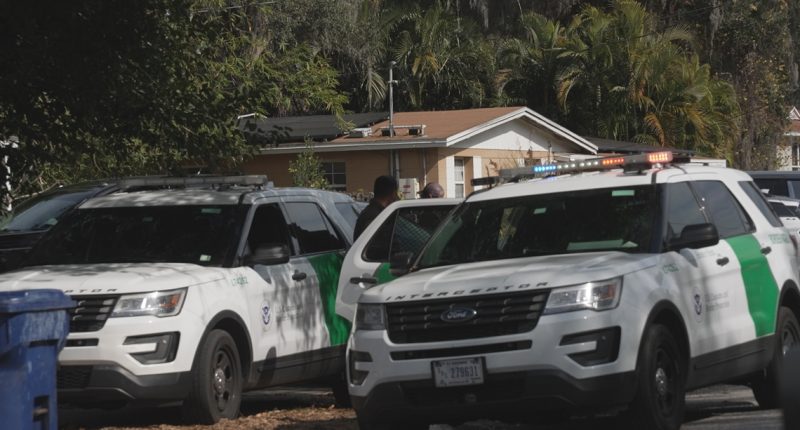 ICE, DEA raid Tampa home, make arrest