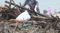 Environmentalists are calling for urgent action after a "catastrophic" wave of plastic an other rubbish washed up on beaches in Bali.