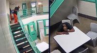 Inmate died from ulcer as staff ignored his cries: Suit