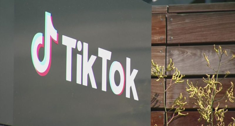 Jacksonville TikTok influencers react to possible ban