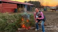 Jonesborough Equestrian Center repurposing Christmas trees for tree burning & barn dance party