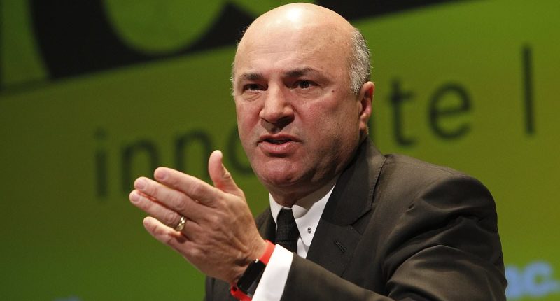 Kevin O'Leary reveals how much he's willing to pay to save TikTok before Sunday deadline