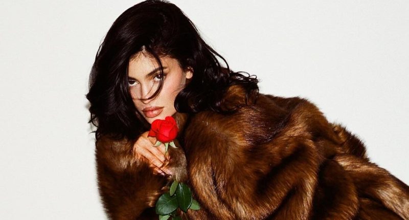 Kylie Jenner holds rose as boyfriend Timothée Chalamet gets Oscar nod