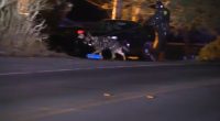 Lake County crime: 2 women shot, 2 in custody after police chase through Beach Park, Waukegan, Zion, sheriff says