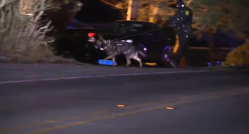 Lake County crime: 2 women shot, 2 in custody after police chase through Beach Park, Waukegan, Zion, sheriff says