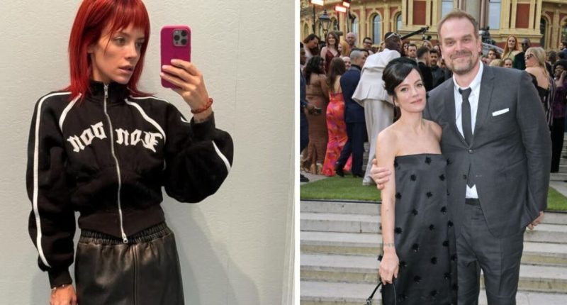 Lily Allen breaks silence after 'split' from David Harbour with 'depressing' post
