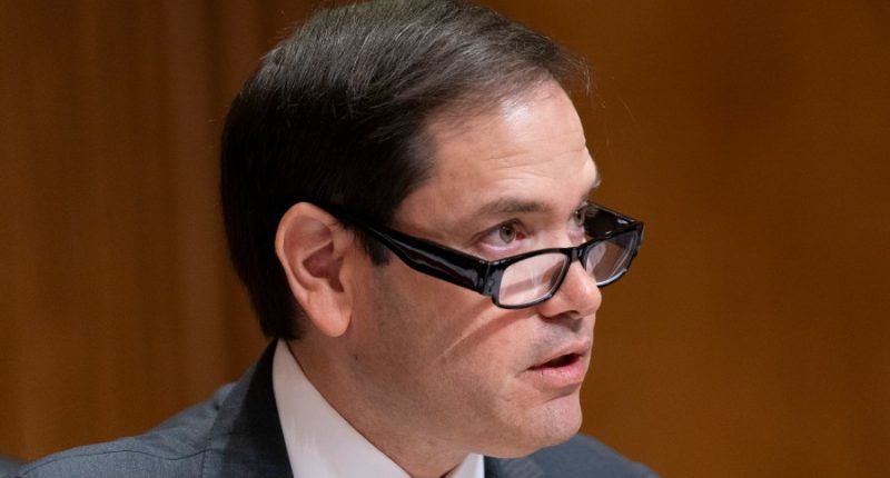Live: Rubio to say he'll put US interests 'above all else' at hearing