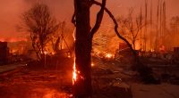 FILE - Embers are blown off a burning tree as the Eaton Fire burns in Altadena, Calif., Jan. 8, 2025. (AP Photo/Nic Coury, File)