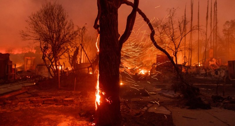 FILE - Embers are blown off a burning tree as the Eaton Fire burns in Altadena, Calif., Jan. 8, 2025. (AP Photo/Nic Coury, File)